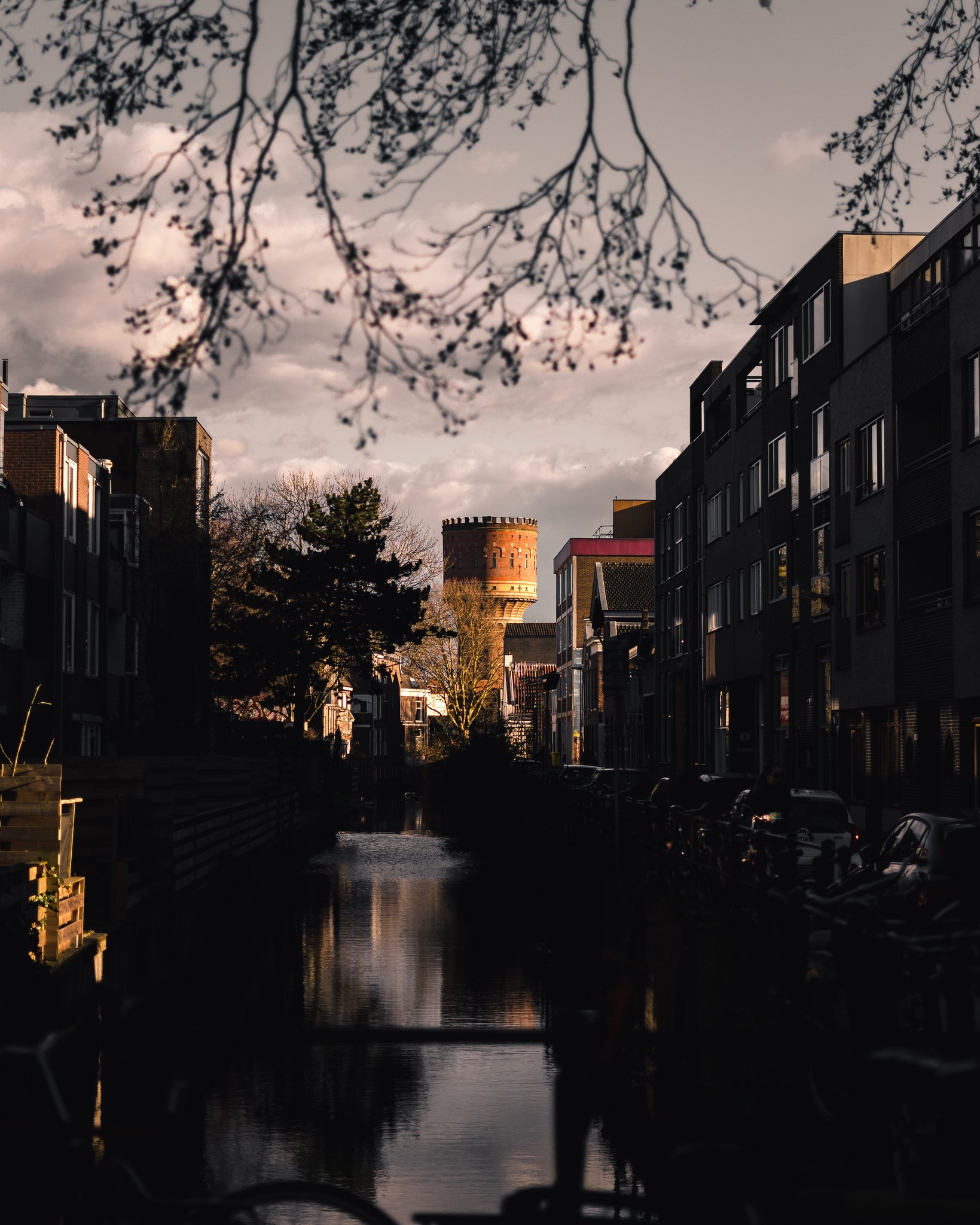 Wat vinden Utrechters onder hun boom dit jaar?