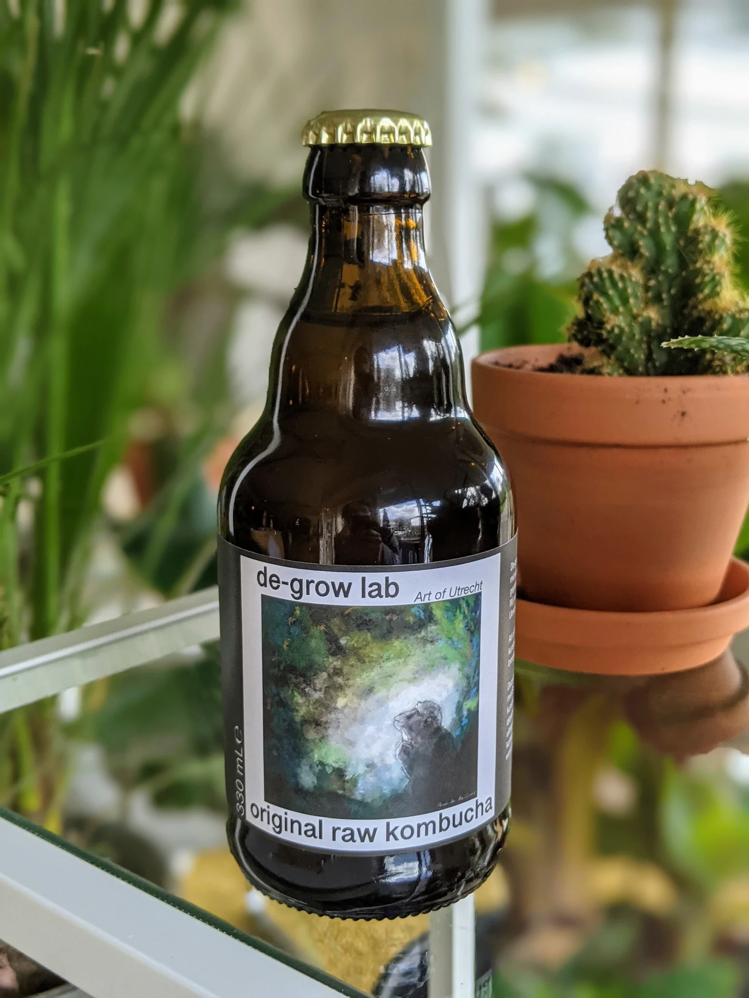 Afbeelding van Kombucha - Original | de-grow lab